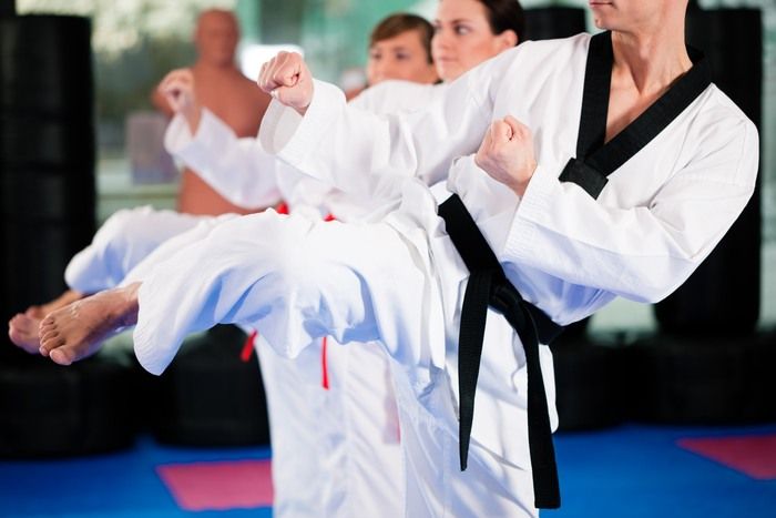 Join Our Elite Tae Kwon Do Program: Train, Fight, Succeed